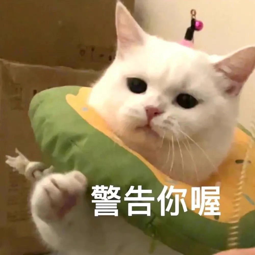 ✪ω✪