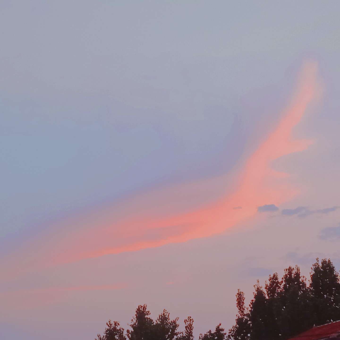 道理
