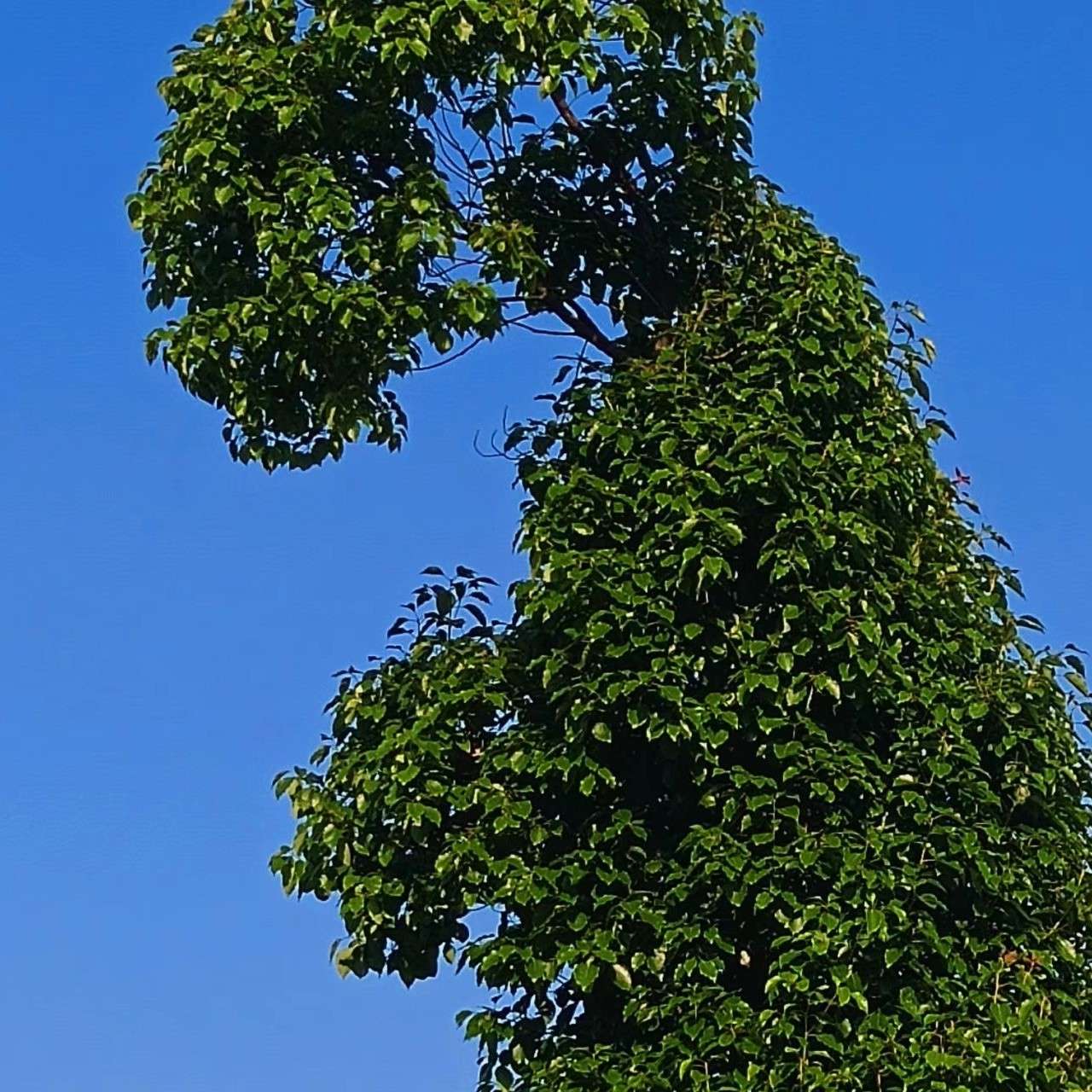 书中所获
