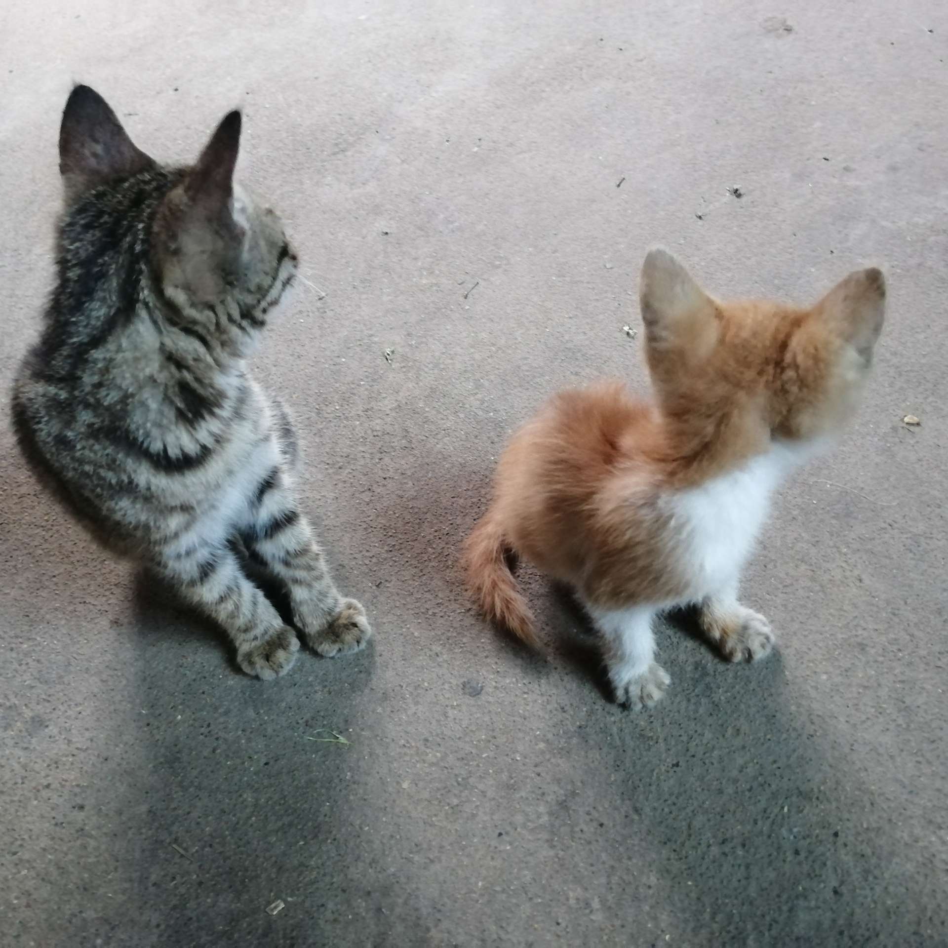 “”