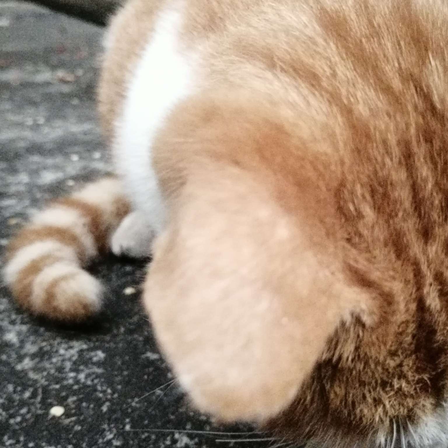 不知道