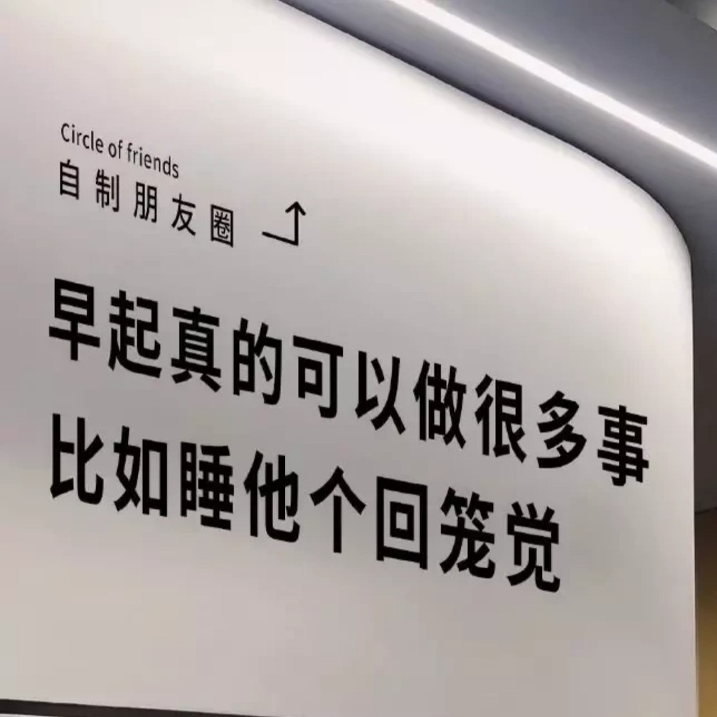 我的藏品