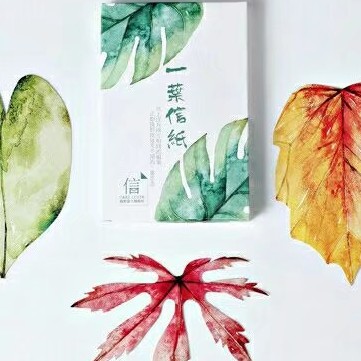 学习ingヾ(Ő∀Ő๑)ﾉ太好惹