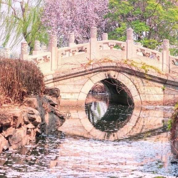 我与地坛