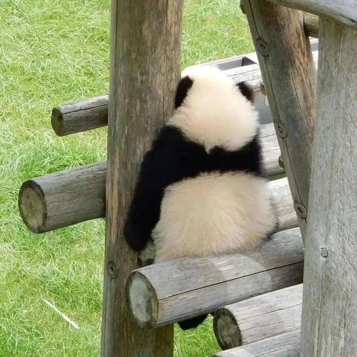 清风伴蝉鸣