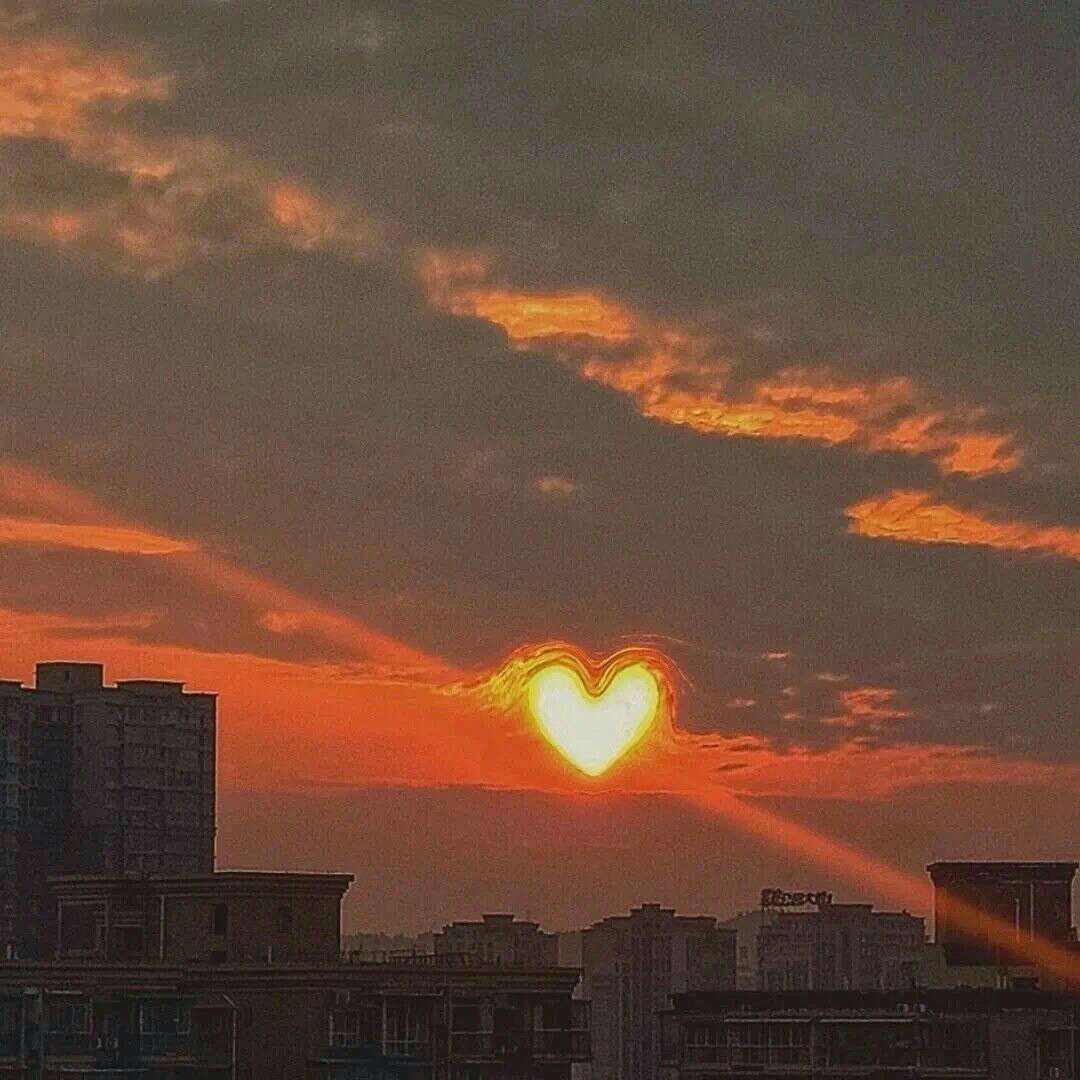 Auroraaa.的专辑