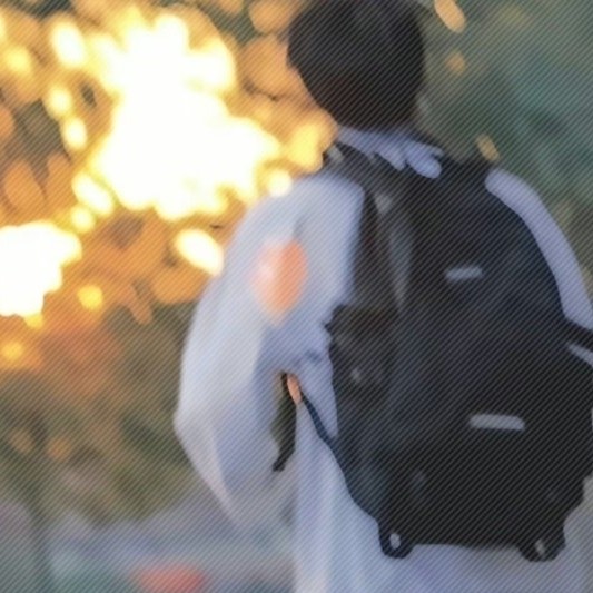 我的专辑