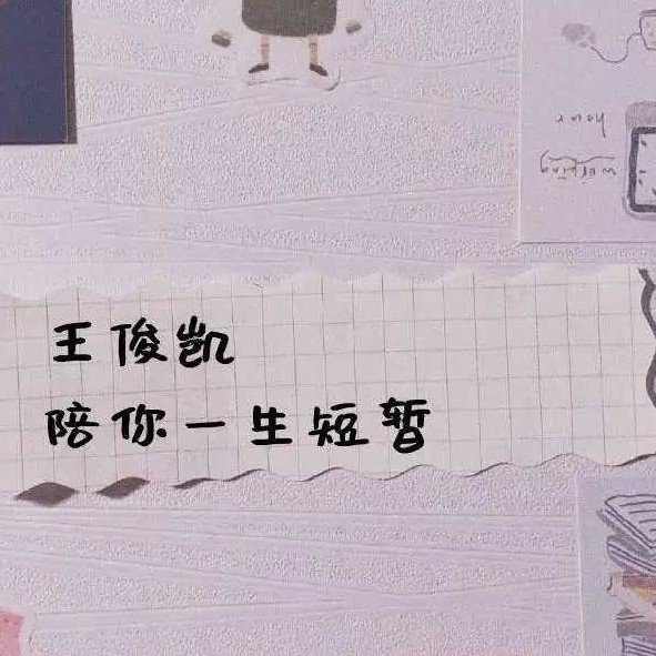 追星语录