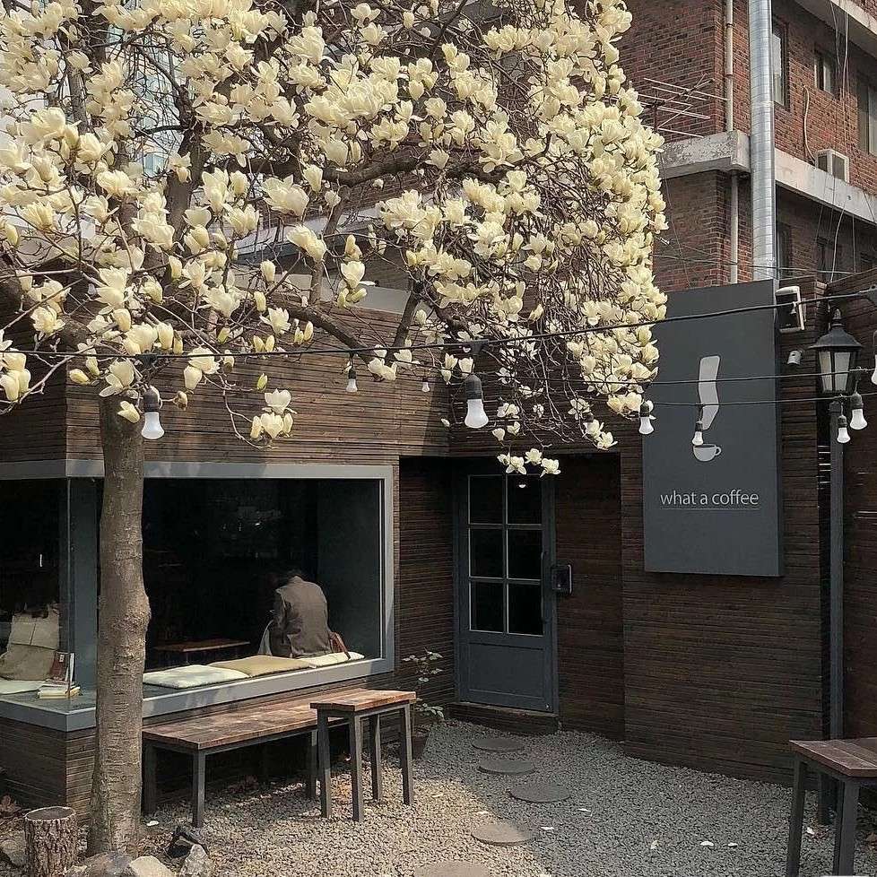 温柔