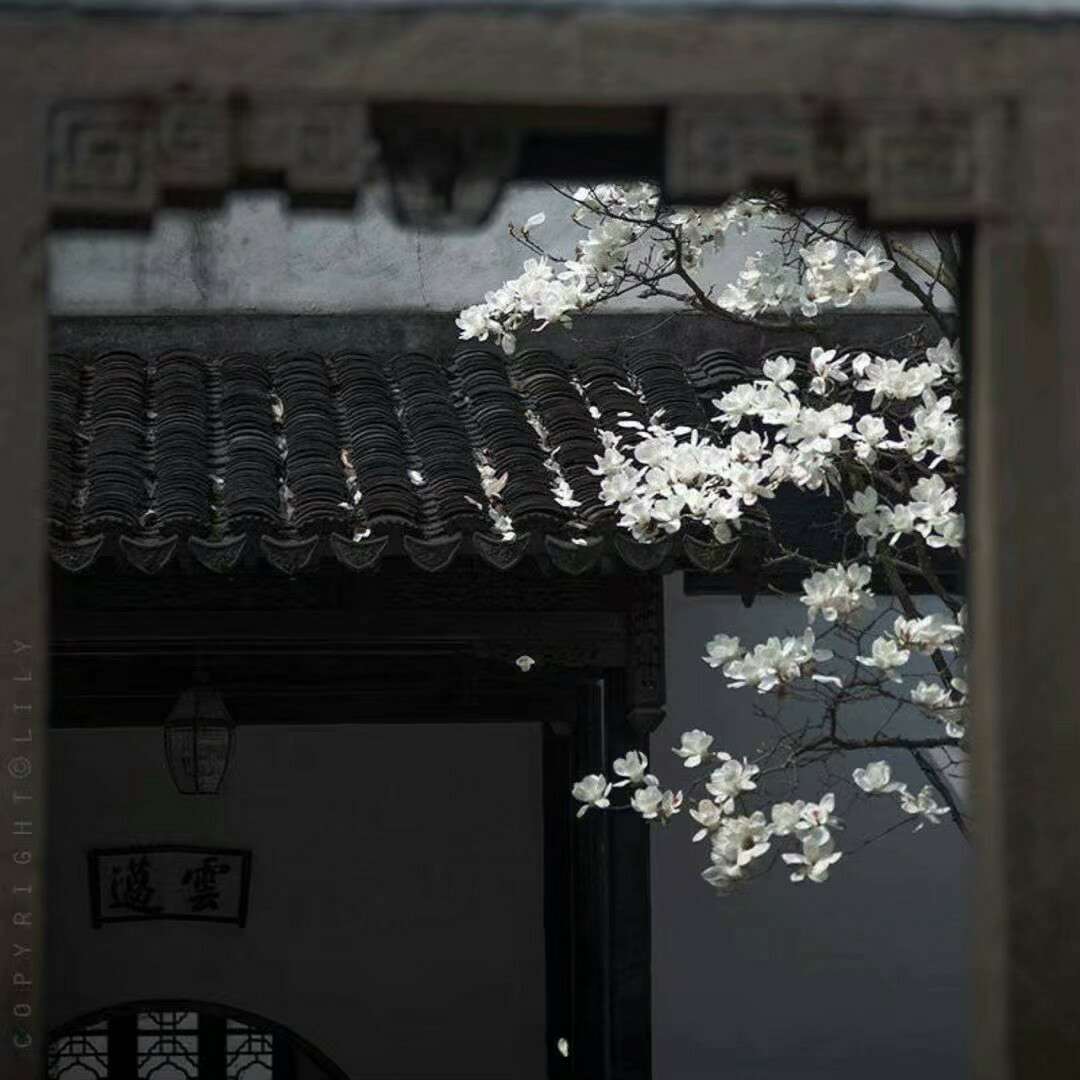 冯唐
