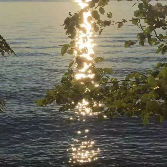 海子