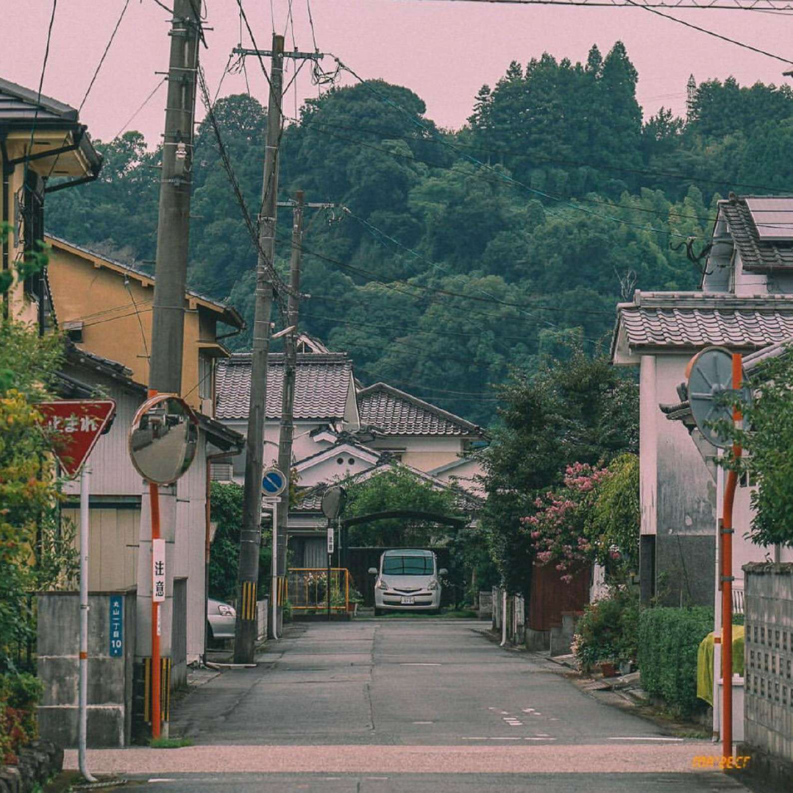 村上春树