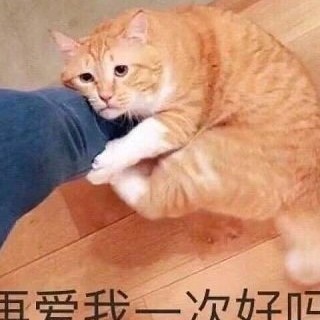 适合摘抄到好看的本子上