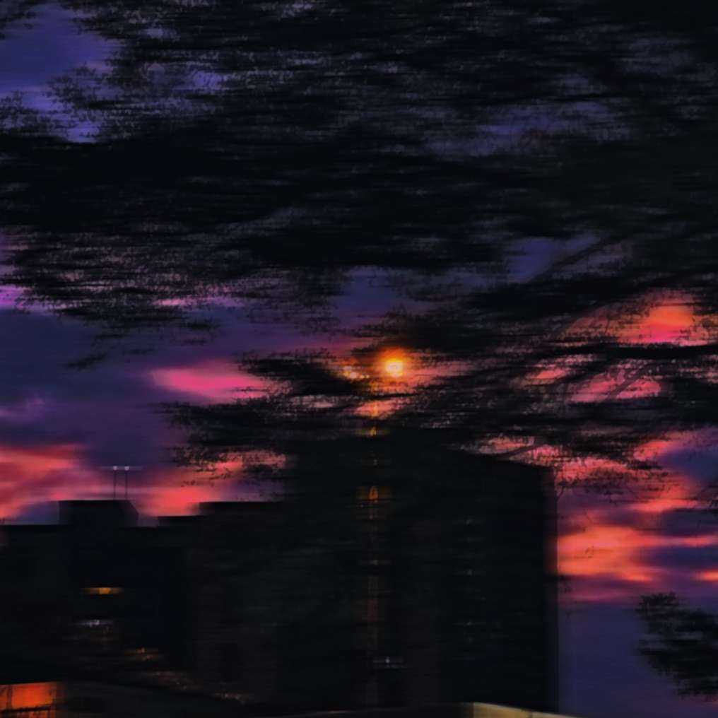 杂文