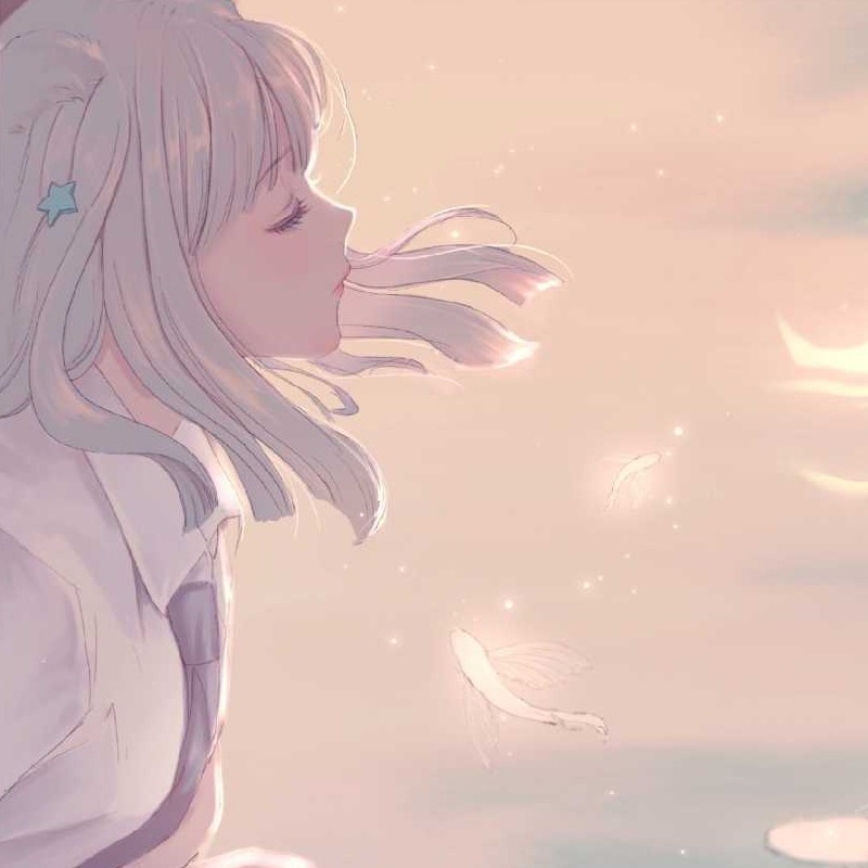 收藏