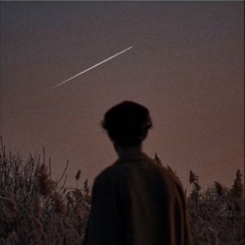 派大星♥️