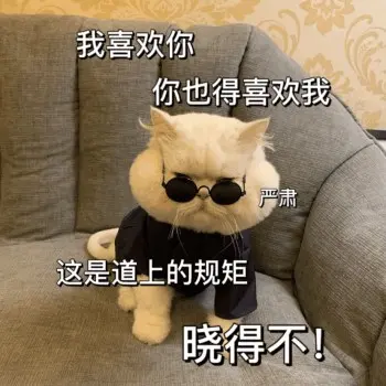浪矢杂货店的专辑