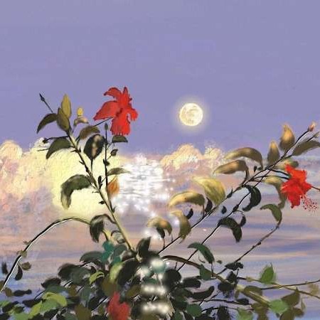 湫