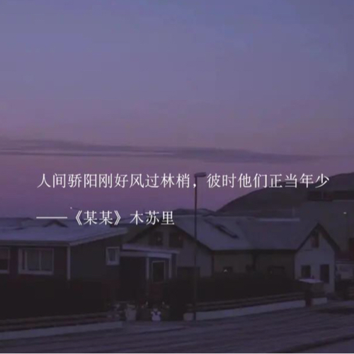 木苏里《某某》