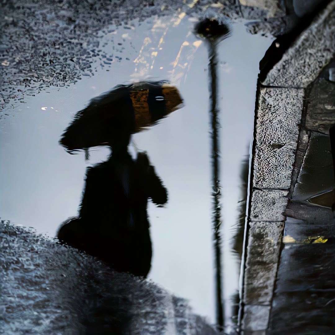 世界啊