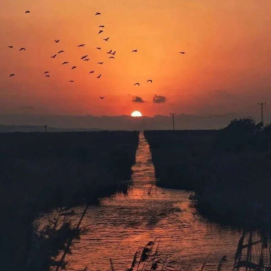 是爱情吗
