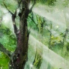 原耽