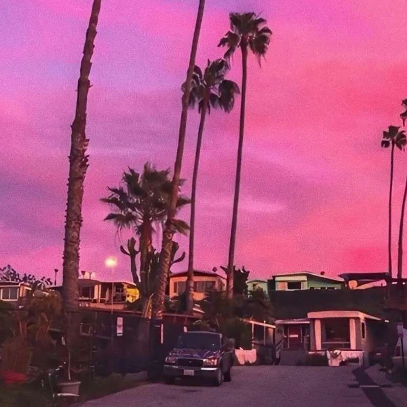 醉卿