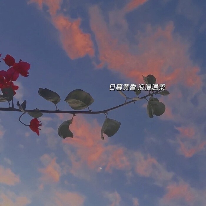 收藏