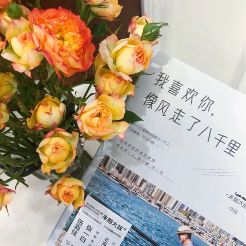 原来你也在这里