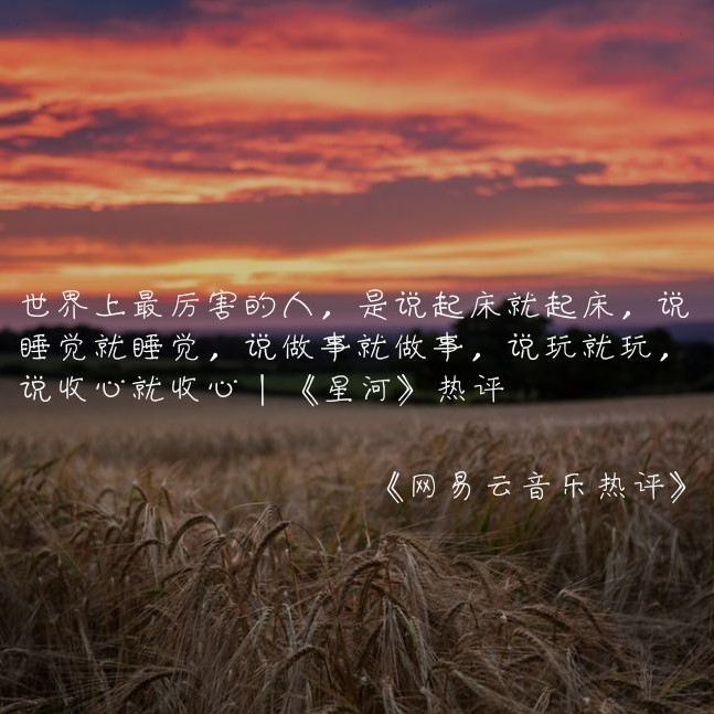 鲸落的专辑
