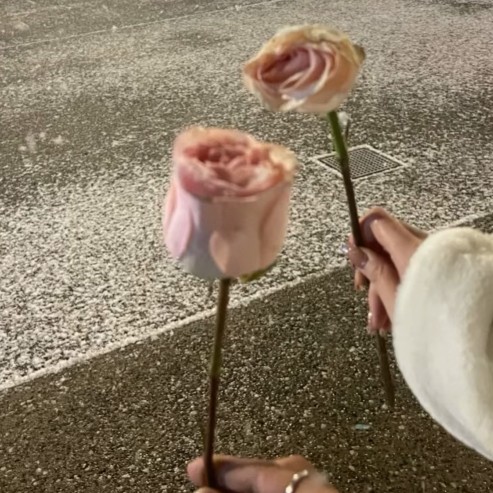 曦月