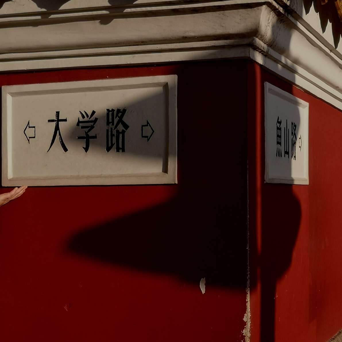 🤪的专辑