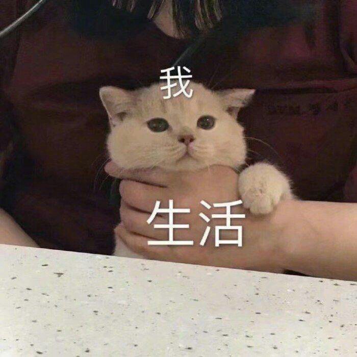 道理