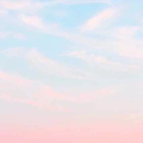 耽美
