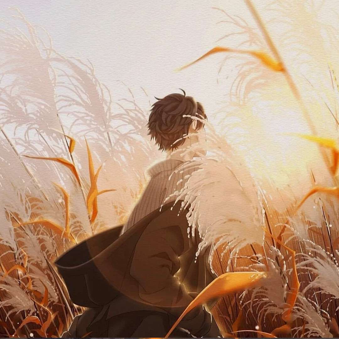特立独行的猫