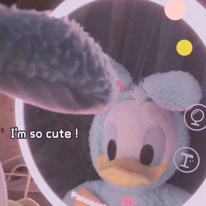 杂集🧸🎀
