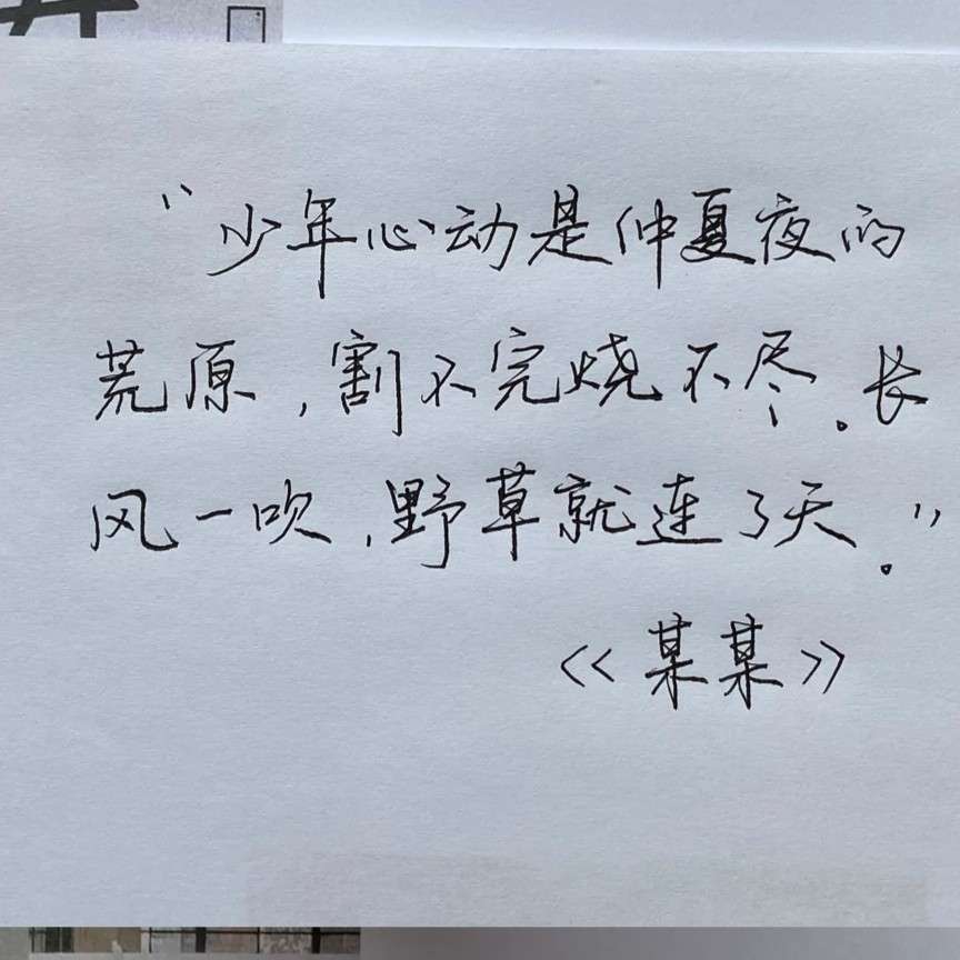 S.🐚的专辑