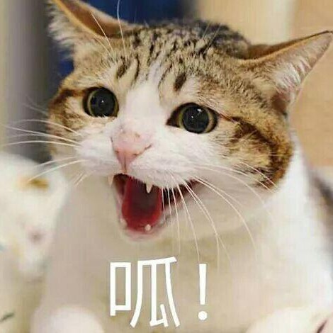 热梗收集