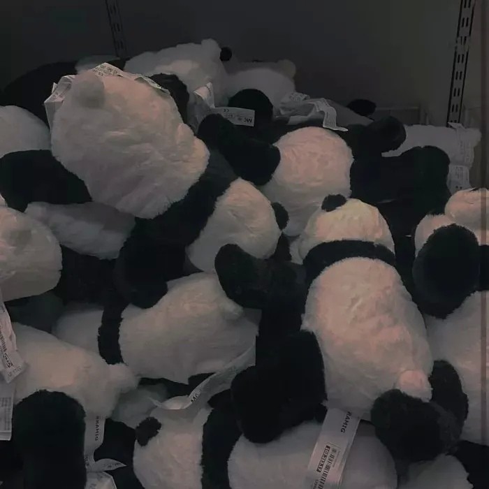 小众文案