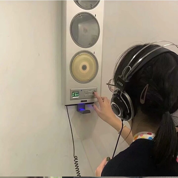 桑稚.的专辑