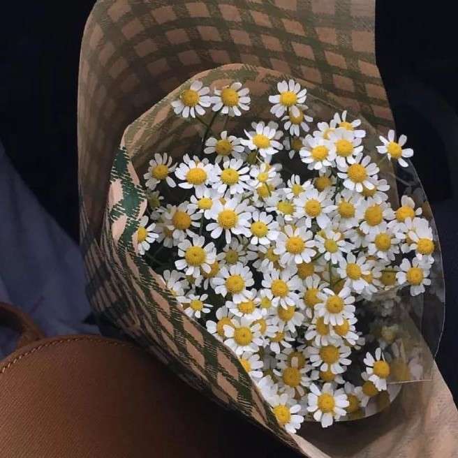 情话