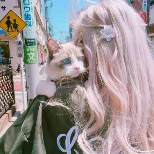 蓝玖.
