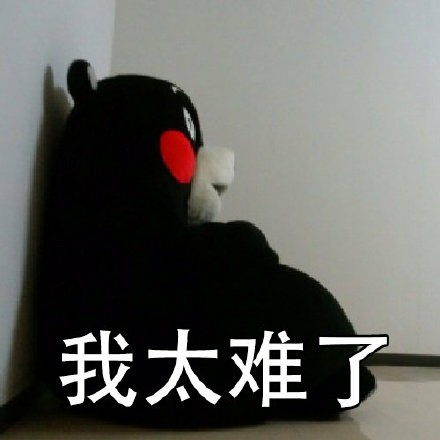 的专辑