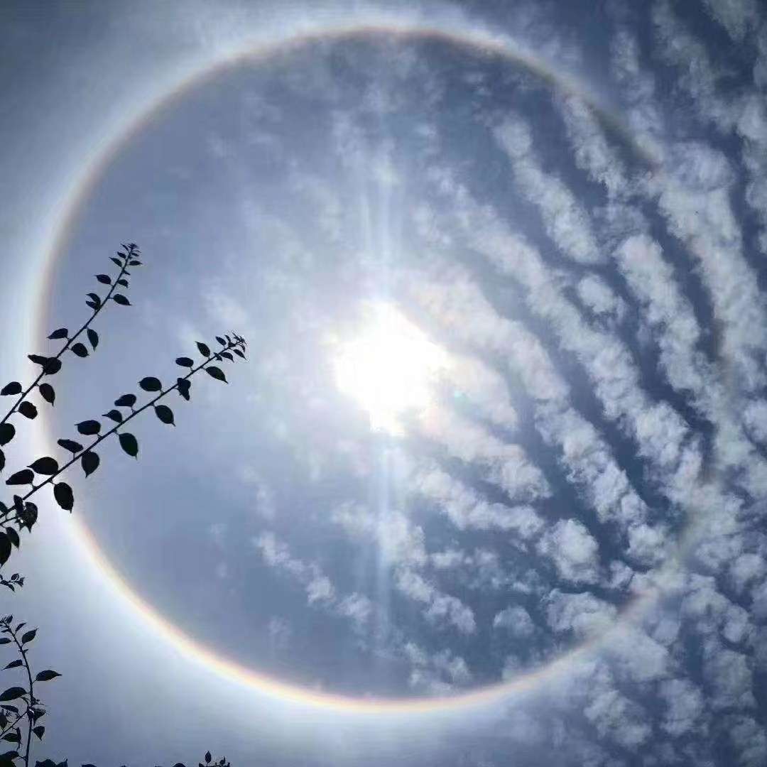 五月漫步