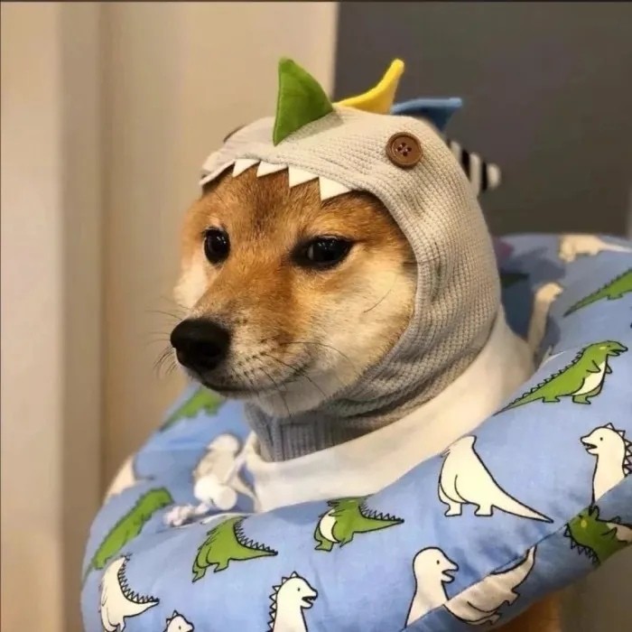 你