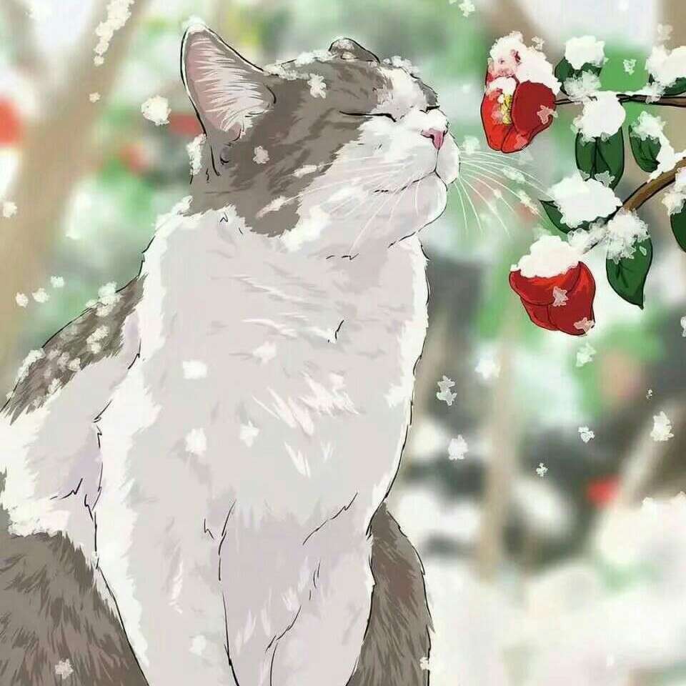 爱情