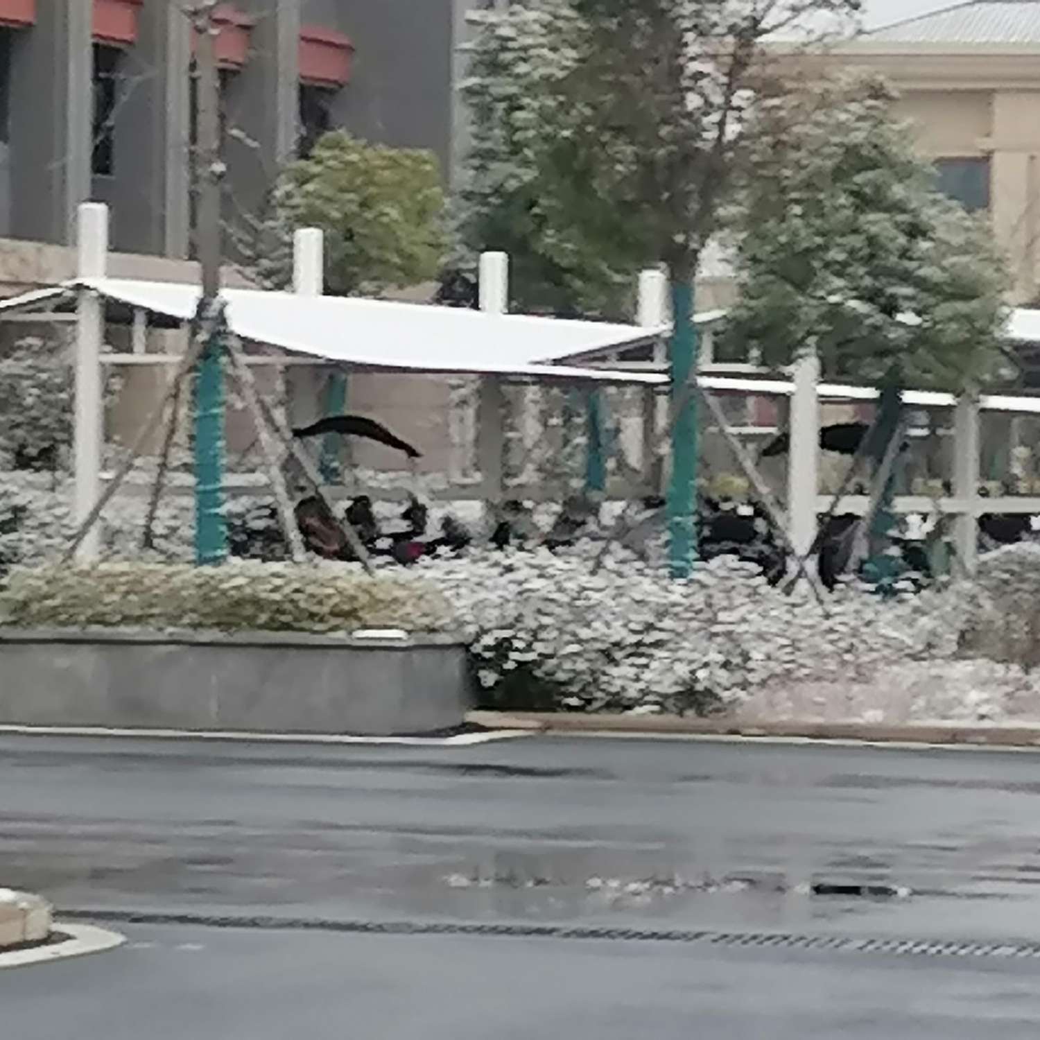 歌词