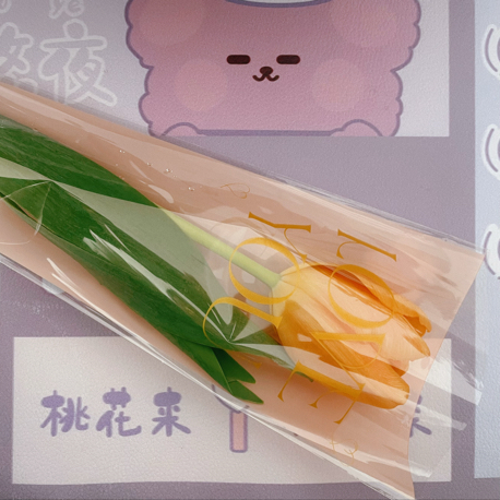 关于春天