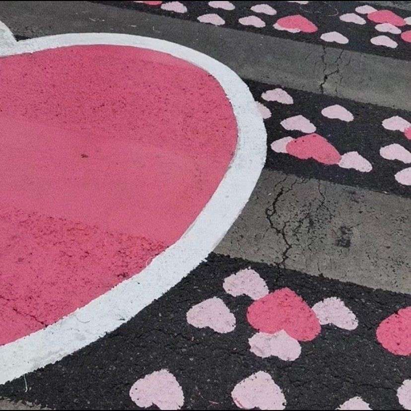 小说✨