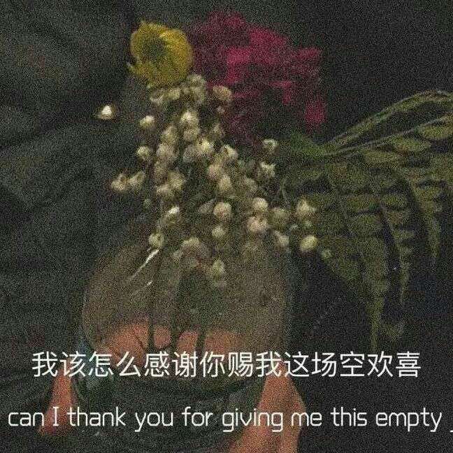 阿诺的碎碎念